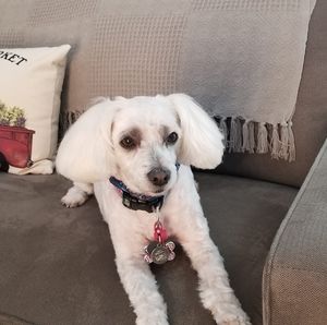 Meet your Posher, Cathy